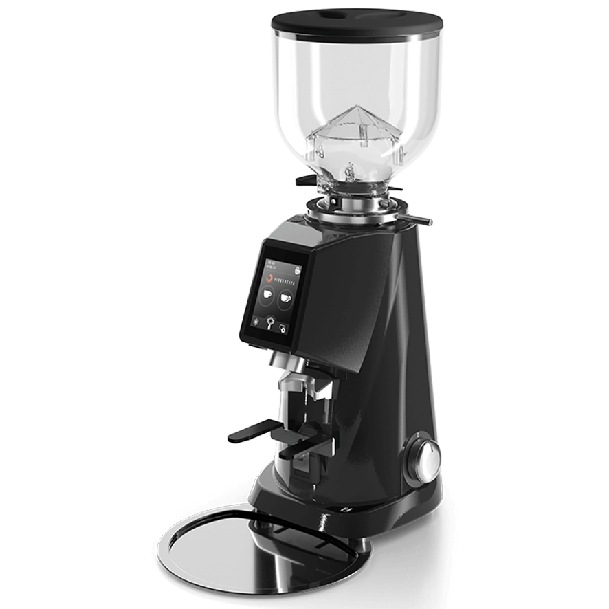 Kaffeemühle Fiorenzato F4 EVO