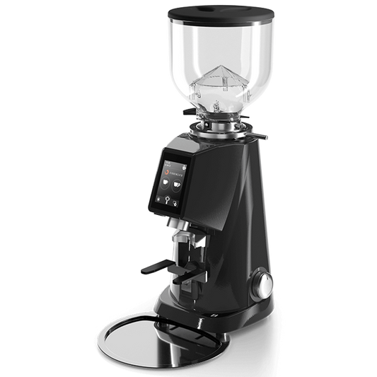 Kaffeemühle Fiorenzato F4 EVO