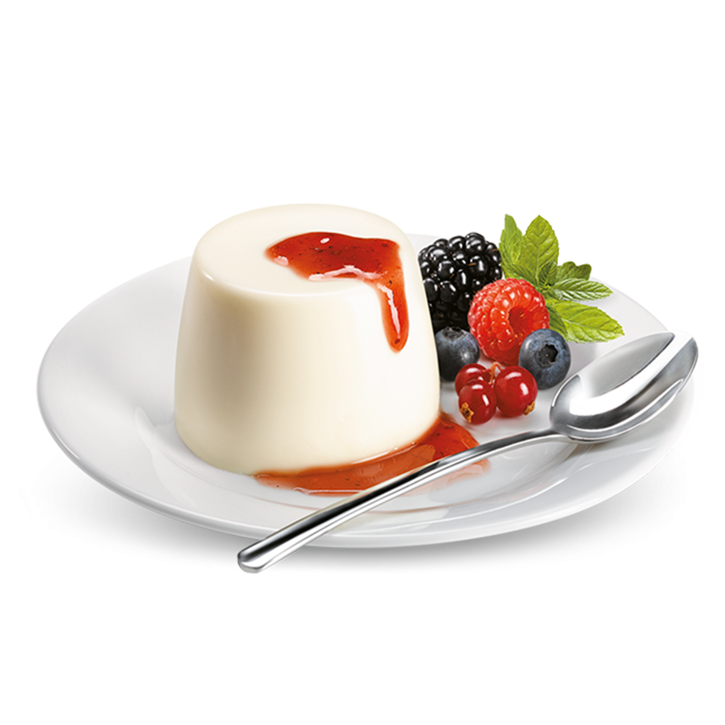 Panna Cotta-Mischung